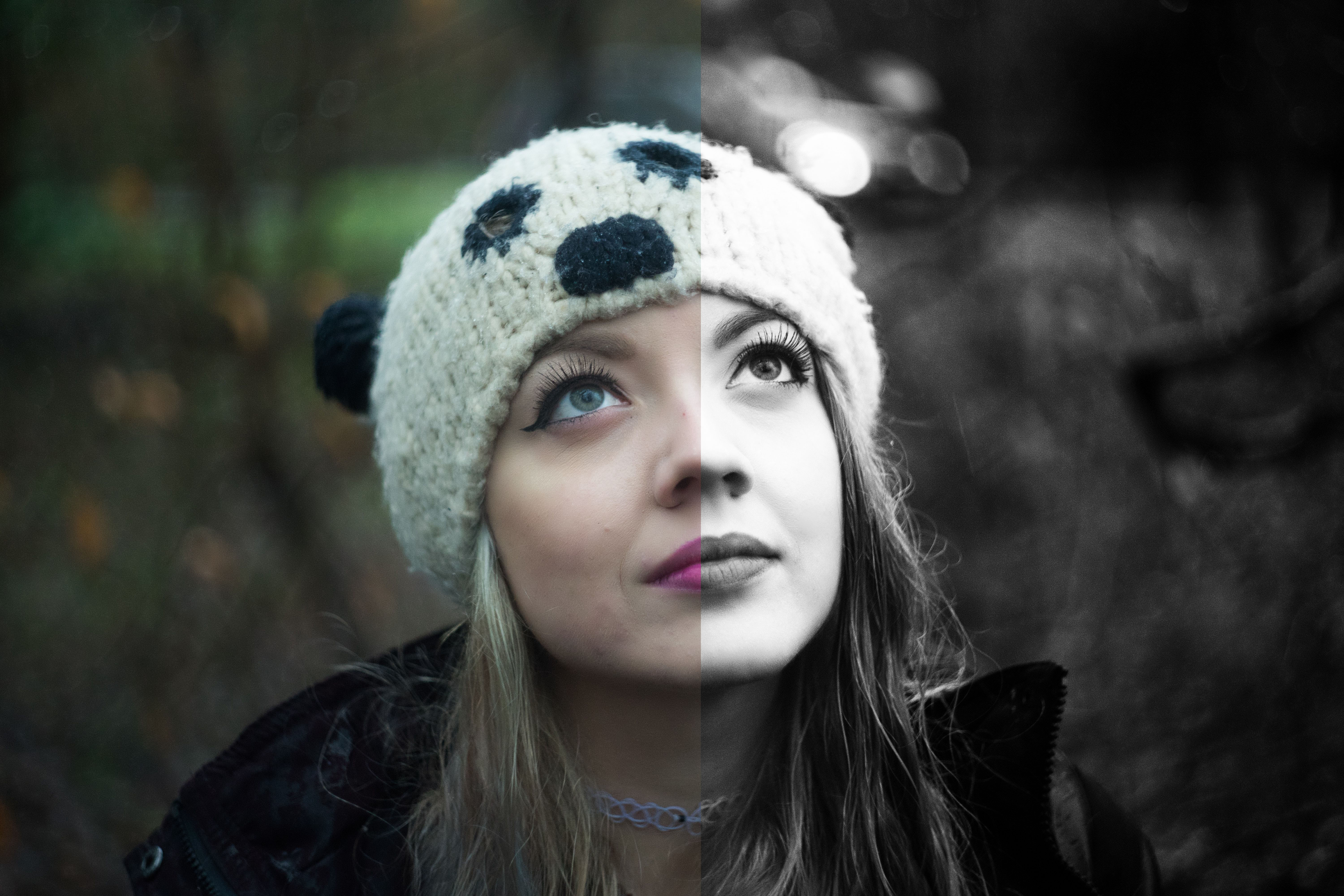 Portrait Processing
